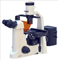 DSY2000X invertd microscope